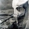 The Still Life 1996